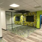 Triangle Plot Olney8